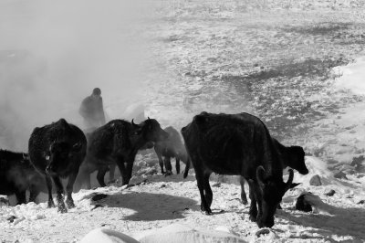 bitlis1 copy